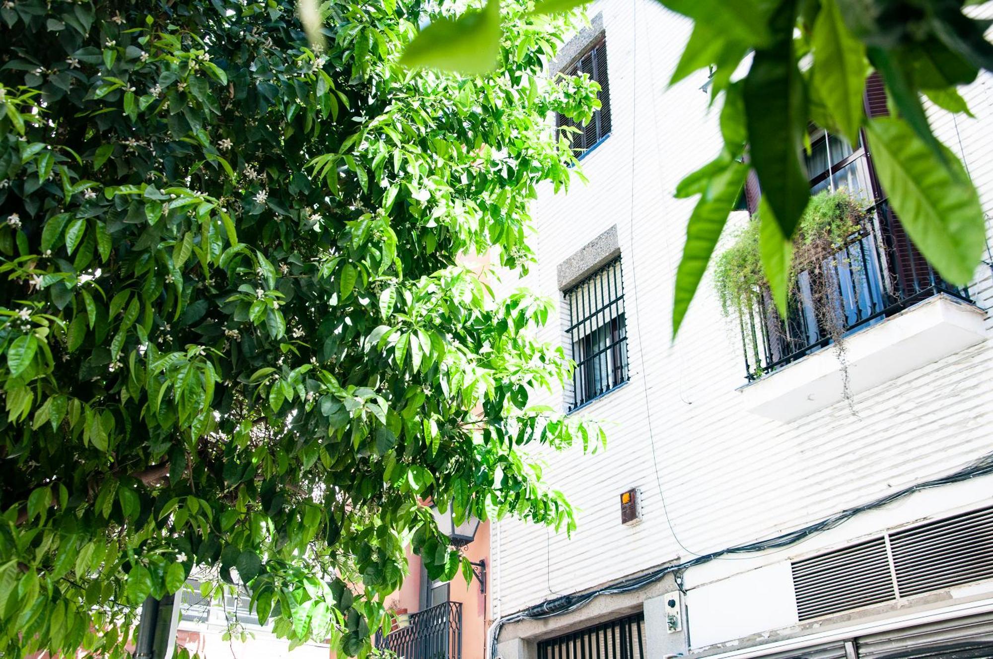 Alohamundi Cruz Verde Siviglia Esterno foto